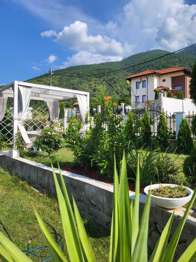Белият Кът Apartment Sapareva Banya Bagian luar foto